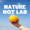 Ferment Fizz Orange & Mango - Lacto-Fermented Sparkling Lemonade - 4.5g Prebiotic Fibre - Functional Fizzy Drink with Gut Health Support - Healthy Kombucha Alternative - 12 x 330ml Glass view 4