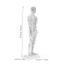TOGEVAL Lifelike Male Human Body Acupuncture Model with Precise Pressure Point and Meridians Markings White Material Display Model for Chinese Medicine Teaching and Acupoint Location view 2