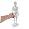 TOGEVAL Lifelike Male Human Body Acupuncture Model with Precise Pressure Point and Meridians Markings White Material Display Model for Chinese Medicine Teaching and Acupoint Location view 4