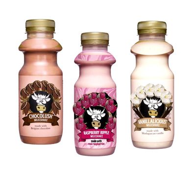 Vanillalicious,Chocolush,Raspberry Ripple Milkshake Bottle 330ml - Random Mixed Flavors of Milkshake Drink - shd (3 x Mixed Bottles)
