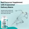 COUTIHOT Liposomal NAD+ & Trans-Resveratrol 800mg 60 Softgels | High Strength 2-in-1 Formula with NAD+ 500mg & Resveratrol 300mg | Non-GMO (60 Count (Pack of 1)) view 3