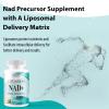 COUTIHOT Liposomal NAD+ & Trans-Resveratrol 800mg 60 Softgels | High Strength 2-in-1 Formula with NAD+ 500mg & Resveratrol 300mg | Non-GMO (60 Count (Pack of 2)) view 3