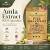 Pure Amla Extract 10:1 Capsules | Clean Supplements UK | Indian Gooseberry | Digestion Grey Hair Colour Vitamin C Beauty Care | Crown Supplements (270 Capsules) view 4