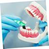 Alipis 4pcs Denture Toothbrush Dual Sided Design for Retainer Cleaner for False Teeth and Keeping Them Clean view 4
