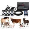 YLANMEI High-Precision Livestock Scale Kit, Platform Scale Kit with Load Cell, 5000 Kg Load Weighing Indicator, Floor Scale with Load Meter for Cattle, Sheep view 1