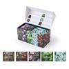 EZR LEAF Pura Caffeine-Free Herbal Tea Collection, 22ct Premium Variety Pyramid Teabags, Floral & Fruit Tea Gift Set with Lemon Verbena, Chamomile Mint, Dreamland, Roselle, Bedtime Tea view 1