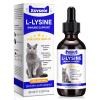 L-Lysine for Cats, 60ml L-Lysine Drops for Cats, Immune Support Supplement, Allergy Relief, Sneezing, Cold, Runny Nose, Feline Respiratory, Natural Antibiotics for Kittens view 1