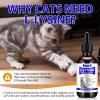 L-Lysine for Cats, 60ml L-Lysine Drops for Cats, Immune Support Supplement, Allergy Relief, Sneezing, Cold, Runny Nose, Feline Respiratory, Natural Antibiotics for Kittens view 2
