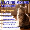 L-Lysine for Cats, 60ml L-Lysine Drops for Cats, Immune Support Supplement, Allergy Relief, Sneezing, Cold, Runny Nose, Feline Respiratory, Natural Antibiotics for Kittens view 3