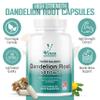 Vinco Dandelion Root Capsules 5000mg - 120 Vegan Capsules (4-Month Supply) - High Strength Herbal Supplement for Bloating & Detox - Water Retention Tablets - Natural Water Balance Support view 2