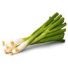 FAKHRI Spring Onions Fresh Green Onions 100g for Cooking, Garnish, Salads, Stir-Fry & Airsoft Outdoor Meal Prep view 1