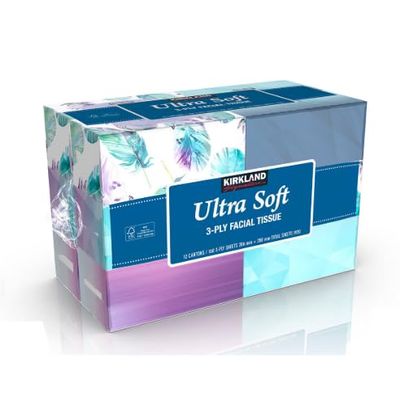 3-PLY Strong Premium Pack Ultra Soft Facial Tissues 160 Sheets, 12 Boxes