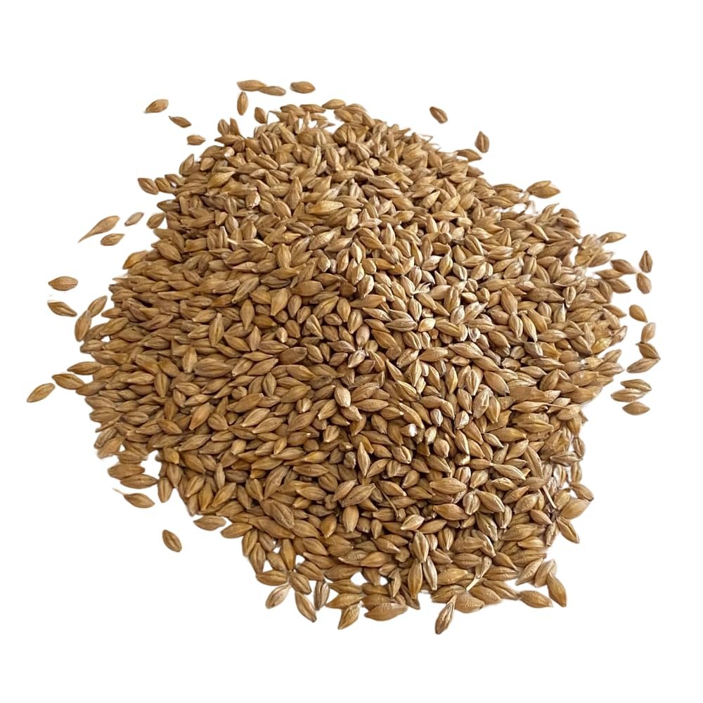 Whole Grain Barley for Cooking & Milling UK Regeneratively Grown | Nutritious Whole Barley for Flour, Baking & Soups | From Brow Farm, Lancashire (5kg in Food Safe Bucket with Lid)