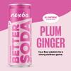 Nexba Plum Ginger Better Soda 330 ml Slim Cans (Pack of 12) view 3