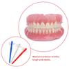 Alipis Dentures Toothbrush Set 3 Pieces with Sturdy Handle and Double-Sided Brush Heads, Designed for Retainers and Braces Cleaning at Home view 3
