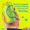 Broadway Candy Poppi Ginger Lime Sparkling Prebiotic Soda 12 fl oz Pack of 6 Refreshing Low Sugar Drink with Apple Cider Vinegar - 5g Sugar, 30 Calories, Gut Health Support view 2