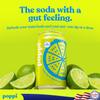Broadway Candy Poppi Ginger Lime Sparkling Prebiotic Soda 12 fl oz Pack of 6 Refreshing Low Sugar Drink with Apple Cider Vinegar - 5g Sugar, 30 Calories, Gut Health Support view 4