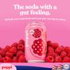Broadway Candy Poppi Sparkling Prebiotic Soda Raspberry Rose 12 fl oz Pack of 12 - Delicious Soft Drink with Real Juice, Apple Cider & Sparkling Water - Prebiotics for Gut Health Natural Drink view 4