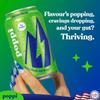 Broadway Candy Poppi Sparkling Prebiotic Soda Alpine Blast 12 fl oz Pack of 6 Naturally Caffeinated Drink with Prebiotics for Gut Health, Apple Cider Vinegar & Fibre 55mg Natural Caffeine view 2