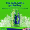 Broadway Candy Poppi Sparkling Prebiotic Soda Alpine Blast 12 fl oz Pack of 6 Naturally Caffeinated Drink with Prebiotics for Gut Health, Apple Cider Vinegar & Fibre 55mg Natural Caffeine view 4
