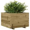 FreshCart Basics 70x70x49.5 cm Impregnated Wood Pine Garden Planter with ample space and decorative function, ideal choice for growing flowers and plants in your garden view 3