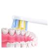 10pcs Replacement Toothbrush HeadsCompatible for S100 Smart Electric Heads view 4