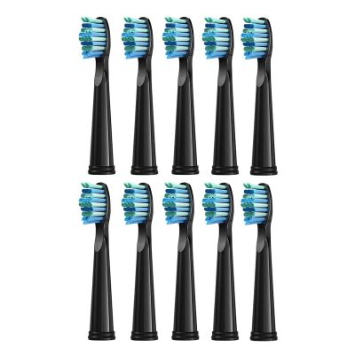10 Pcs Replacement Brush HeadsCompatible for Seago/Fairywill Electric Toothbrush Head Bristle Refill Tooth Cleaning(10pcs Black)
