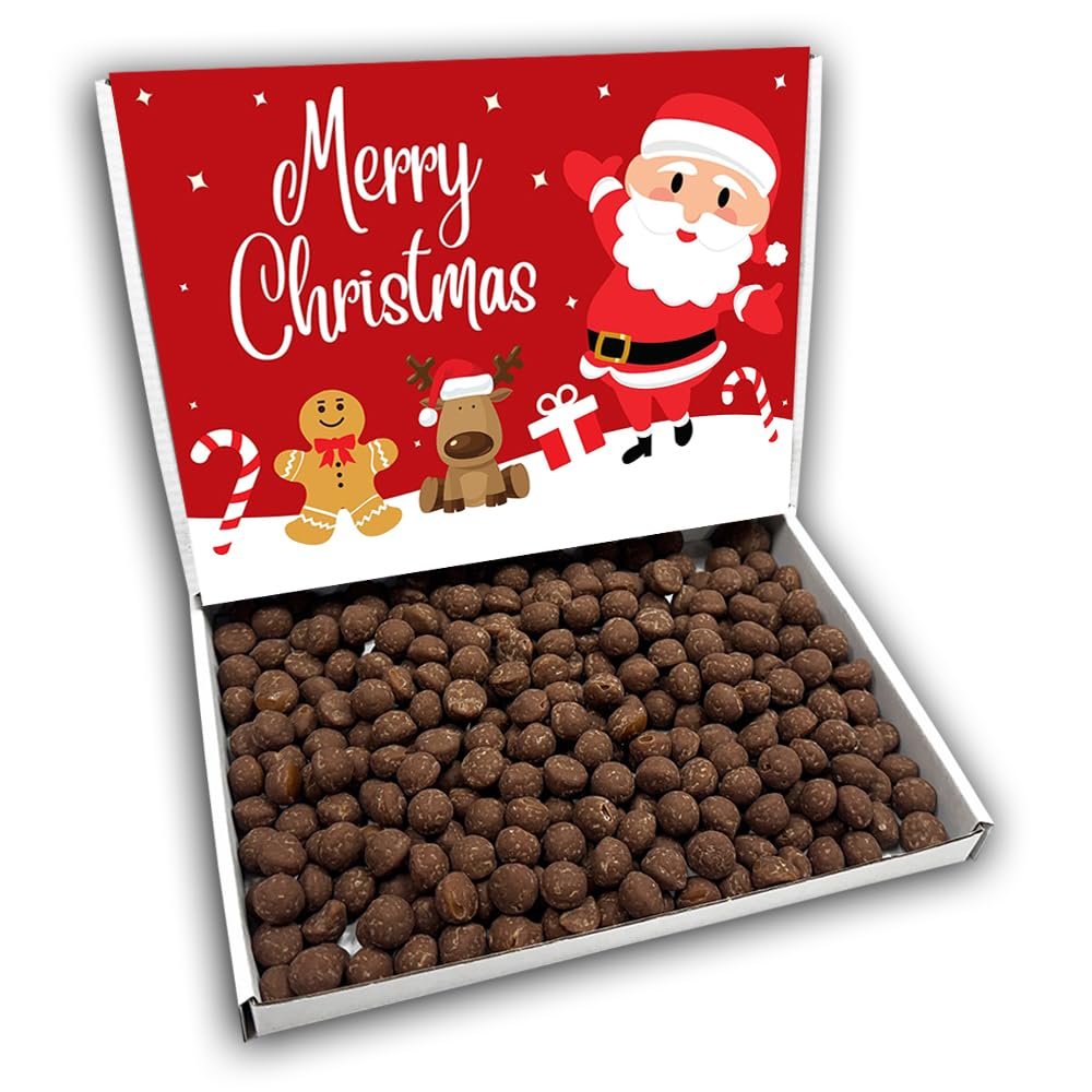 Chewing Nuts Merry Christmas Sweets Gift Box Hamper (SANTA RED FRONT)