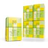 Belgian Chocolate Chip Scottish Shortbread 5 Pack, Luxury Biscuits, Vegan and Gluten Free, Dairy Free, Egg Free, Nut Free,150g Each by EDEN & CO.
