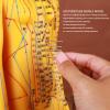 Fauitay 20.9in Acupuncture Model Female Human Body Acupuncture Model Chinese Acupuncture Model with High Definition Engraved Acupoints for Teaching Training Practice view 2