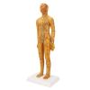 Fauitay 20.9in Acupuncture Model Female Human Body Acupuncture Model Chinese Acupuncture Model with High Definition Engraved Acupoints for Teaching Training Practice view 4