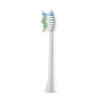 12 Pieces Toothbrush Replacement Heads Fit,Compatible for 360 Oracleen T1 Puppy Y1 Universal Bruch Head Bristle Color view 1