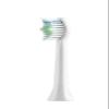 12 Pieces Toothbrush Replacement Heads Fit,Compatible for 360 Oracleen T1 Puppy Y1 Universal Bruch Head Bristle Color view 2