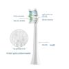12 Pieces Toothbrush Replacement Heads Fit,Compatible for 360 Oracleen T1 Puppy Y1 Universal Bruch Head Bristle Color view 3