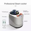CSDASW 2 Liter Portable Sauna Steamer Pot, Generator For Steam Saunas, Home Spa Machine For Body Detox view 2