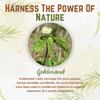Goldenseal Powder - 10.5 oz, 300 Servings *3rd Party Tested* Pure Natural Goldenseal Root Powder Supplement view 3