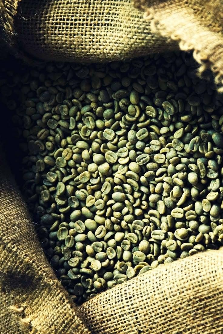 Ethiopian Green Coffee Beans Unroasted 5kg 100% Arabica Raw Beans for Home Roasting, Fresh Aroma & Premium Flavour