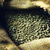 Ethiopian Green Coffee Beans Unroasted 2kg 100% Arabica Raw Beans for Home Roasting, Fresh Brewing & Barista Use, Premium Quality view 2
