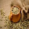 Ethiopian Green Coffee Beans Unroasted 2kg 100% Arabica Raw Beans for Home Roasting, Fresh Brewing & Barista Use, Premium Quality view 4