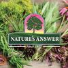 Natural's Answer Myrh Gum 2000mg, Non-GMO, Gluten Free, 30 ml view 4