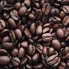 Brazilian Santos Coffee Beans 500g | Premium Arabica | Smooth, Fruity | Rich Flavour & Aromatic Finish view 3
