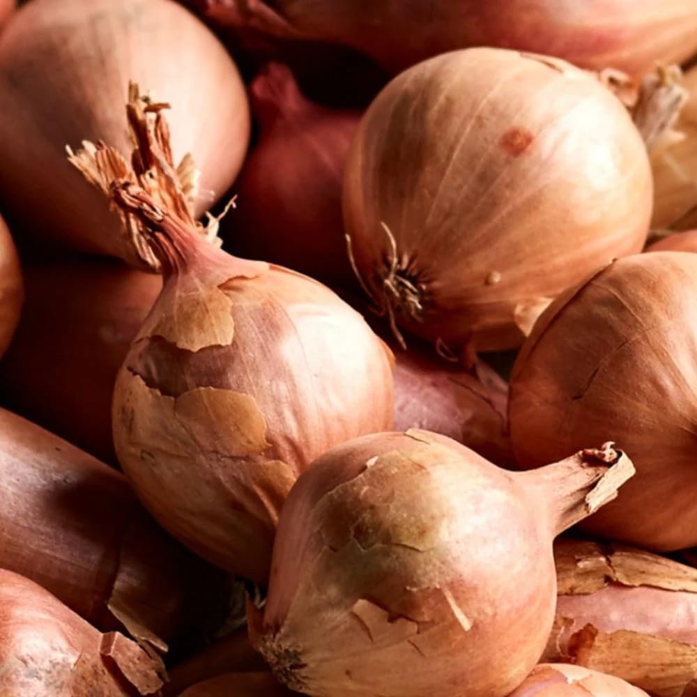 Round Pickling Shallots - Large (45mm+)* 12kg Net