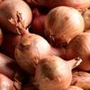 Round Pickling Shallots - Large (45mm+)* 12kg Net view 1