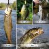 Generisch 24 Days Fishing Lure, Christmas Countdown Fishing Lure Set, for Freshwater Saltwater Trout Bass Anglers Men Boyfriend Father Husband Teenager Rivers Lakes Streams view 4
