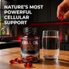 Puretrex Krill Oil 3000mg 150 Softgels Made in UK Omega 3 EPA DHA with Astaxanthin & Phospholipids, High Absorption, No Fishy Aftertaste, Heart Brain Joint Eye Support view 4