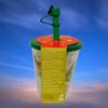 Reusable Bubble Tea Cup Set with Fruit Flavour Pearls, Black Tea Bag, Apple Syrup, Reusable Straw, Washable Cup for Homemade Drinks and Refreshing Treats view 2