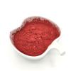 Organic Beetroot Powder 100% Ground Beetroot Non-GMO, No Additives Certified Organic Natural Colouring & Cooking Ingredient Resealable Pouch by Thames Organic 500g view 3