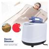 1000W Sauna Steamer Pot Machine Portable Sauna Steam Generator Fumigation Machine for Home Spa Fast Heating Speed view 2
