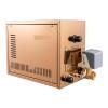 AT-30/40S 3/4KW Home Wet Steam Rooms Steam Bath Generator Household Steaming Sauna Room Steam Bath Sauna Machine for SpaRoom Fast Heating Speed(AT-30S-3KW) view 1