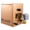 AT-30/40S 3/4KW Home Wet Steam Rooms Steam Bath Generator Household Steaming Sauna Room Steam Bath Sauna Machine for SpaRoom Fast Heating Speed(AT-30S-3KW) view 4